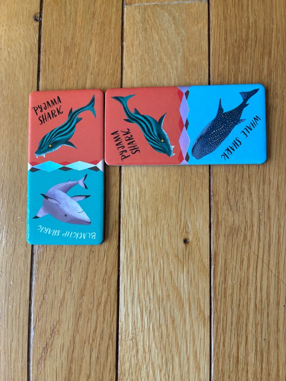 eeboo - GIANT SHINY SHARK DOMINOES - Picture 5 of 13